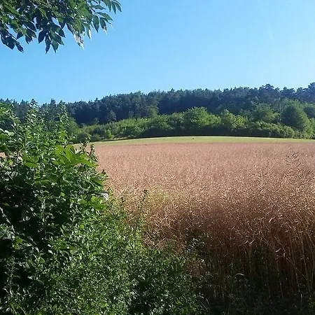 Bed & Breakfast Landgasthof Zur Untermuehle Datterode