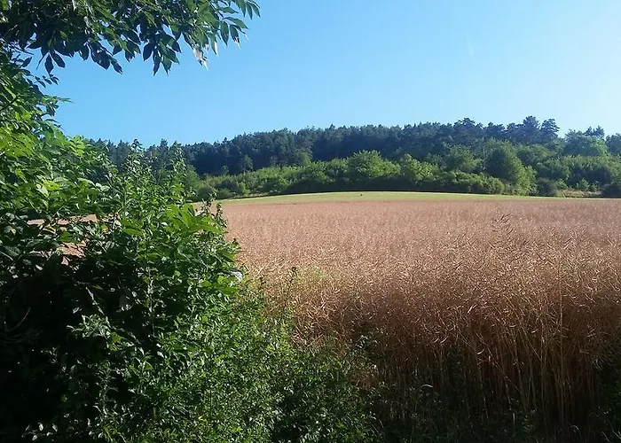 Alojamento de Acomodação e Pequeno-almoço Landgasthof Zur Untermuehle Datterode