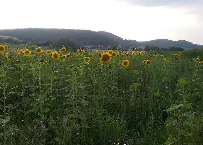 Alojamento de Acomodação e Pequeno-almoço Landgasthof Zur Untermuehle 3*
